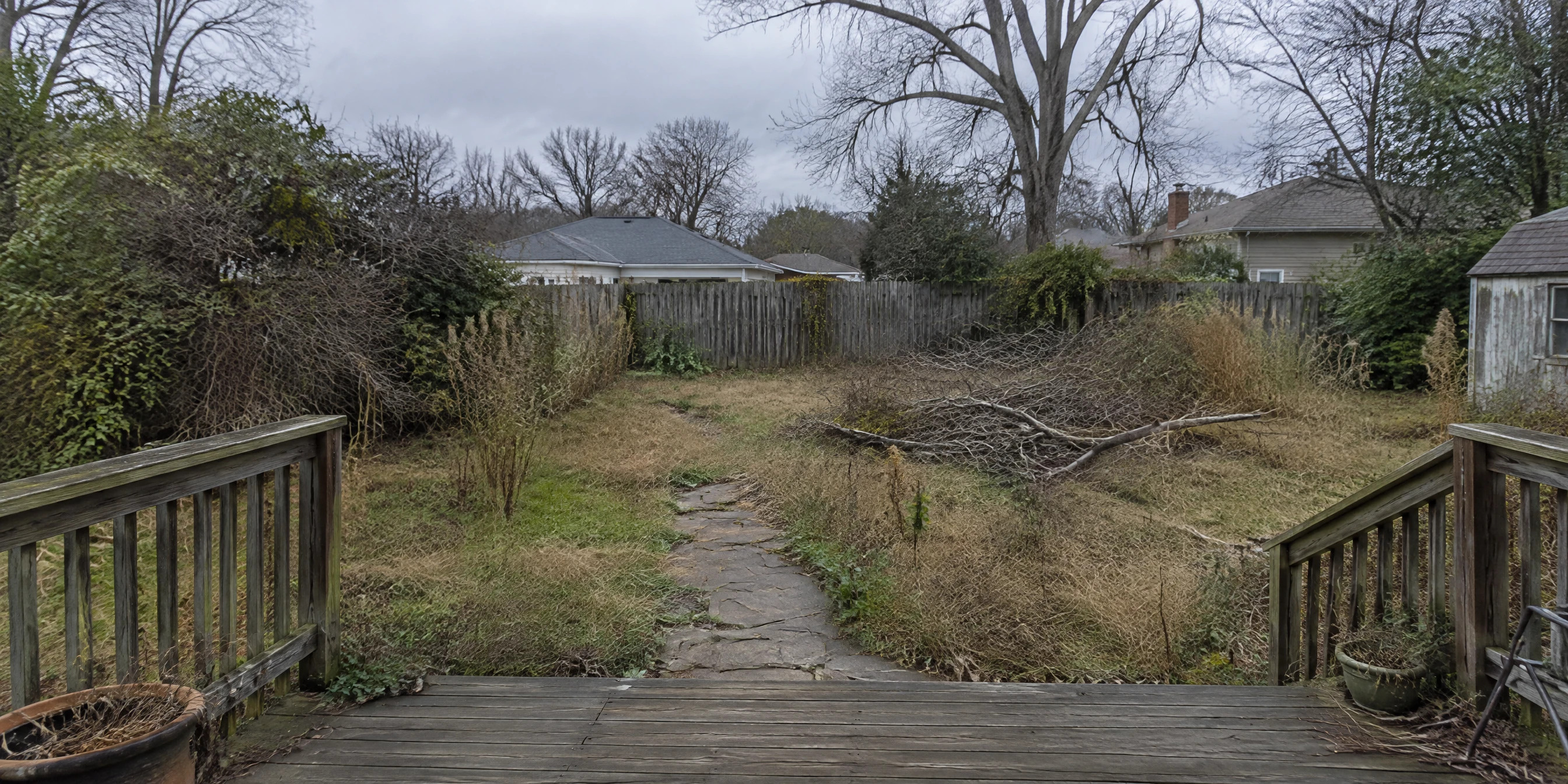 Vorher: verwilderter Garten mit Wildwuchs und Unkraut